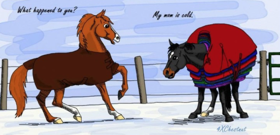 cold-horse-cartoon
